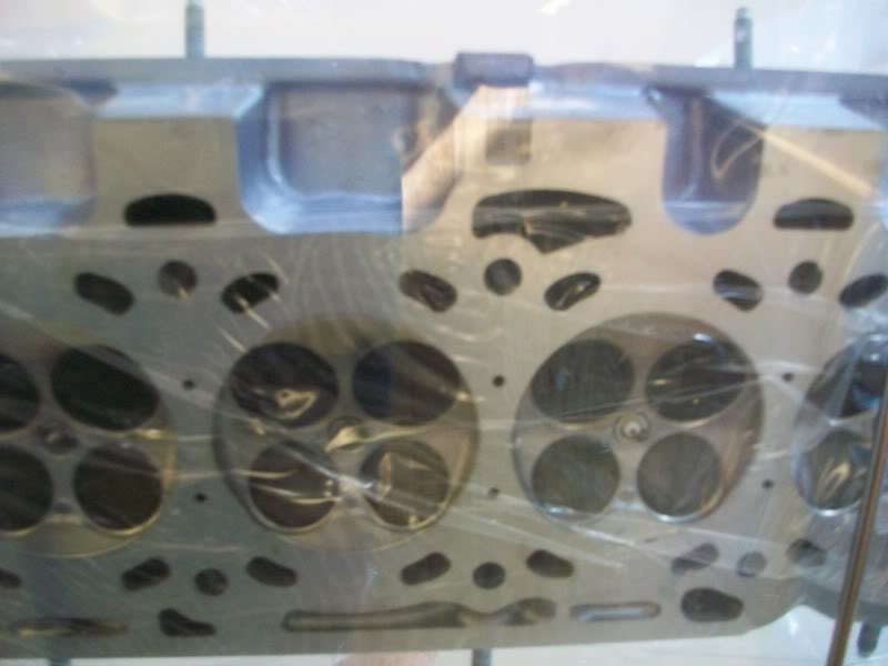 Name:  100_0273.jpg
Views: 40
Size:  52.7 KB