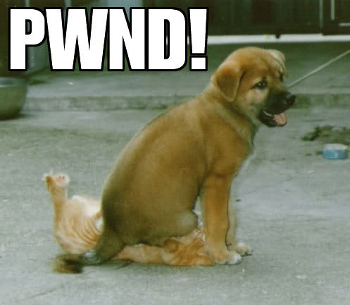 Name:  pwnd.jpg
Views: 30
Size:  27.5 KB