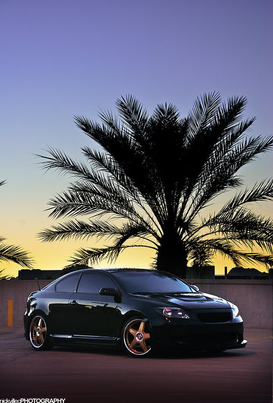 Name:  Black_tC_V_by_aeosir.jpg
Views: 18
Size:  92.6 KB