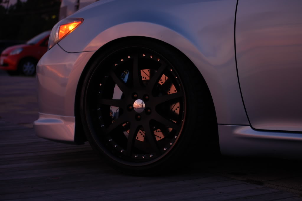 Name:  DSC_1598.jpg
Views: 21
Size:  65.7 KB