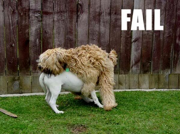 Name:  fail.jpg
Views: 35
Size:  49.2 KB