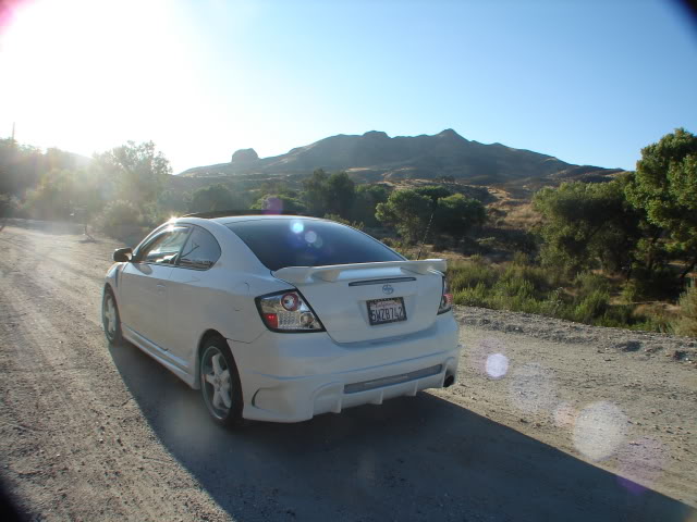 Name:  DSC02325.jpg
Views: 397
Size:  68.0 KB