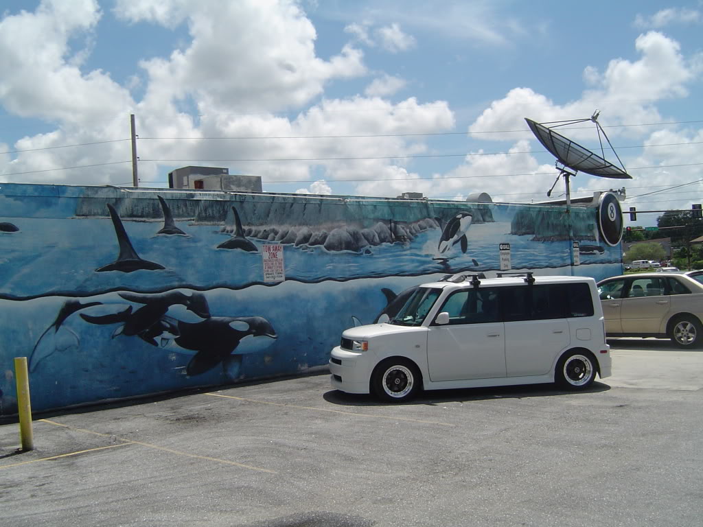 Name:  Picture316-1.jpg
Views: 18
Size:  134.5 KB