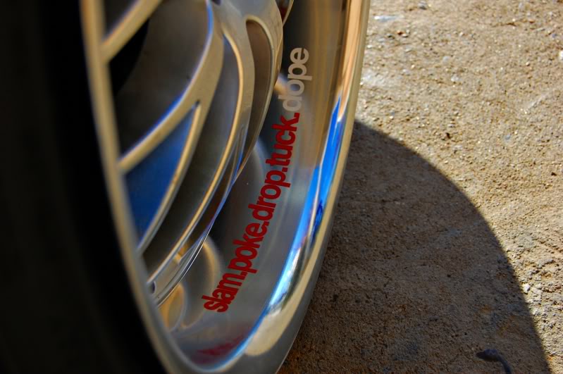 Name:  DSC_0240edit-1.jpg
Views: 45
Size:  73.0 KB