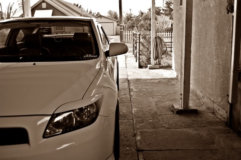 Name:  DSC_0213edit.jpg
Views: 16
Size:  92.5 KB