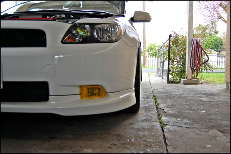 Name:  DSC_0187edit.jpg
Views: 52
Size:  78.4 KB