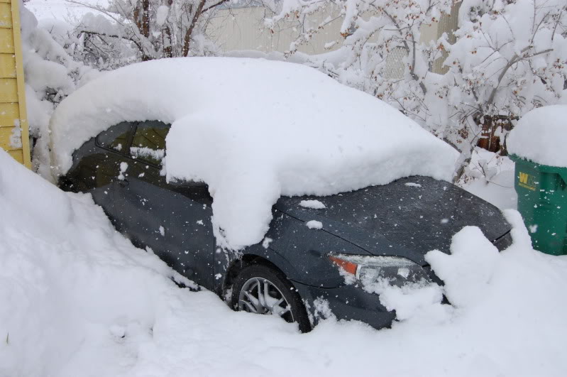 Name:  DSC_0105.jpg
Views: 24
Size:  100.3 KB