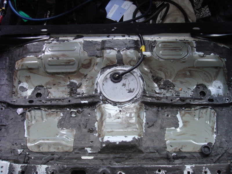 Name:  DSC05498.jpg
Views: 2125
Size:  108.3 KB