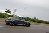 Help Deciding-royal_palm_show_100.jpg