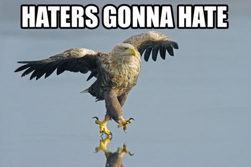 Name:  god-haters-gonna-hate-eagle.jpg
Views: 120
Size:  24.1 KB