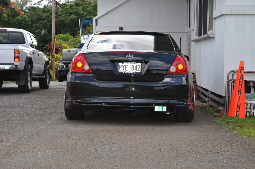 Name:  DSC_0411.jpg
Views: 249
Size:  153.1 KB