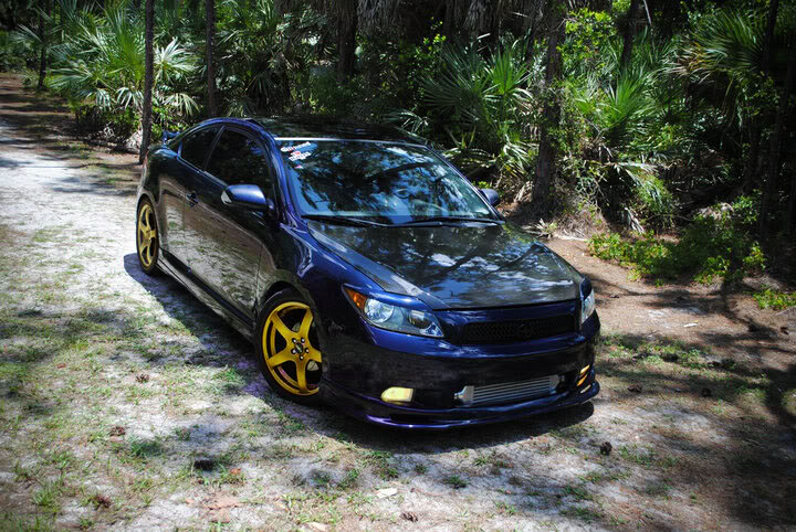 Name:  gold-2.jpg
Views: 132
Size:  131.3 KB