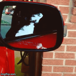 Name:  9so6p.gif
Views: 27
Size:  1.45 MB