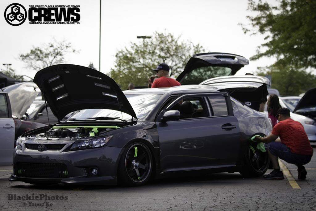 Name:  CREWS_BlackiePic_zps37e26712.jpg
Views: 50
Size:  88.5 KB