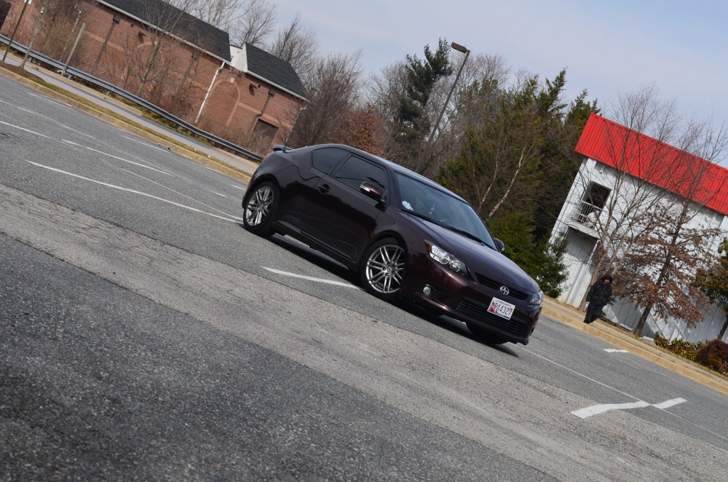 Name:  DSC_1101.jpg
Views: 41
Size:  316.2 KB