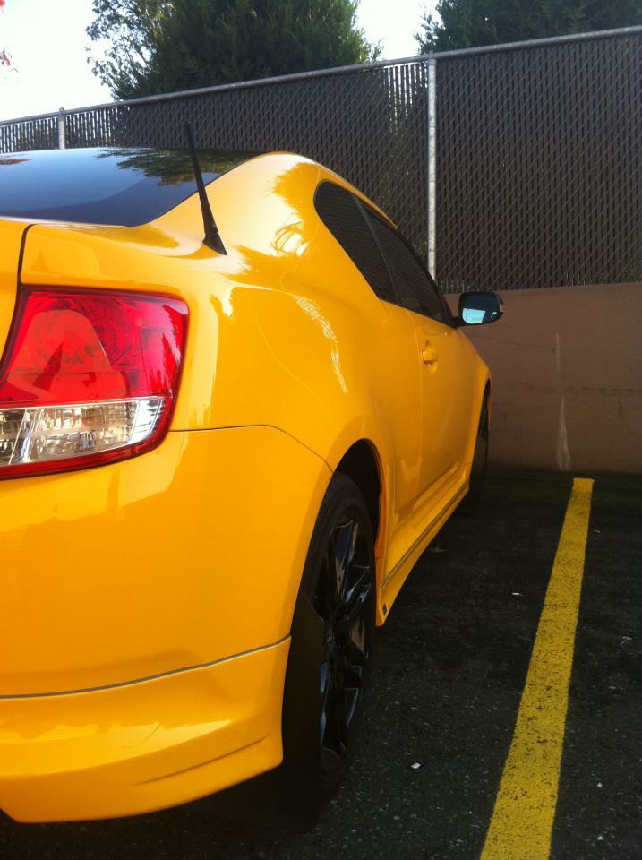 Name:  rallysport2.jpg
Views: 25
Size:  85.1 KB