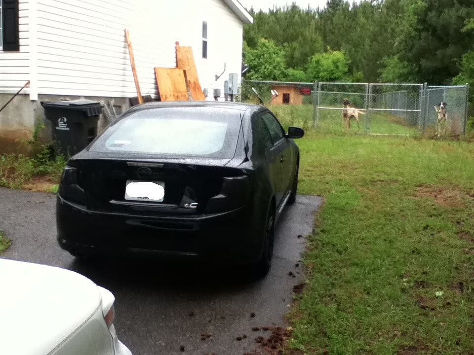 Name:  AllScionShow002.jpg
Views: 79
Size:  141.5 KB