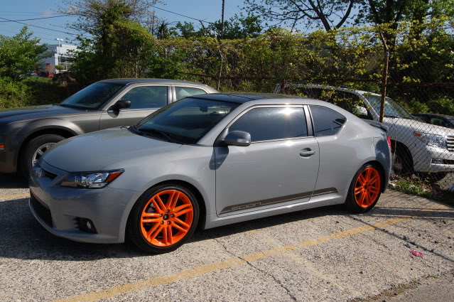 Name:  DSC_1203.jpg
Views: 93
Size:  95.7 KB