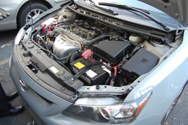 Name:  DSC_115910.jpg
Views: 105
Size:  74.7 KB