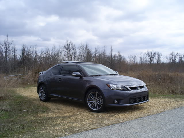 Name:  S5032103.jpg
Views: 183
Size:  66.7 KB