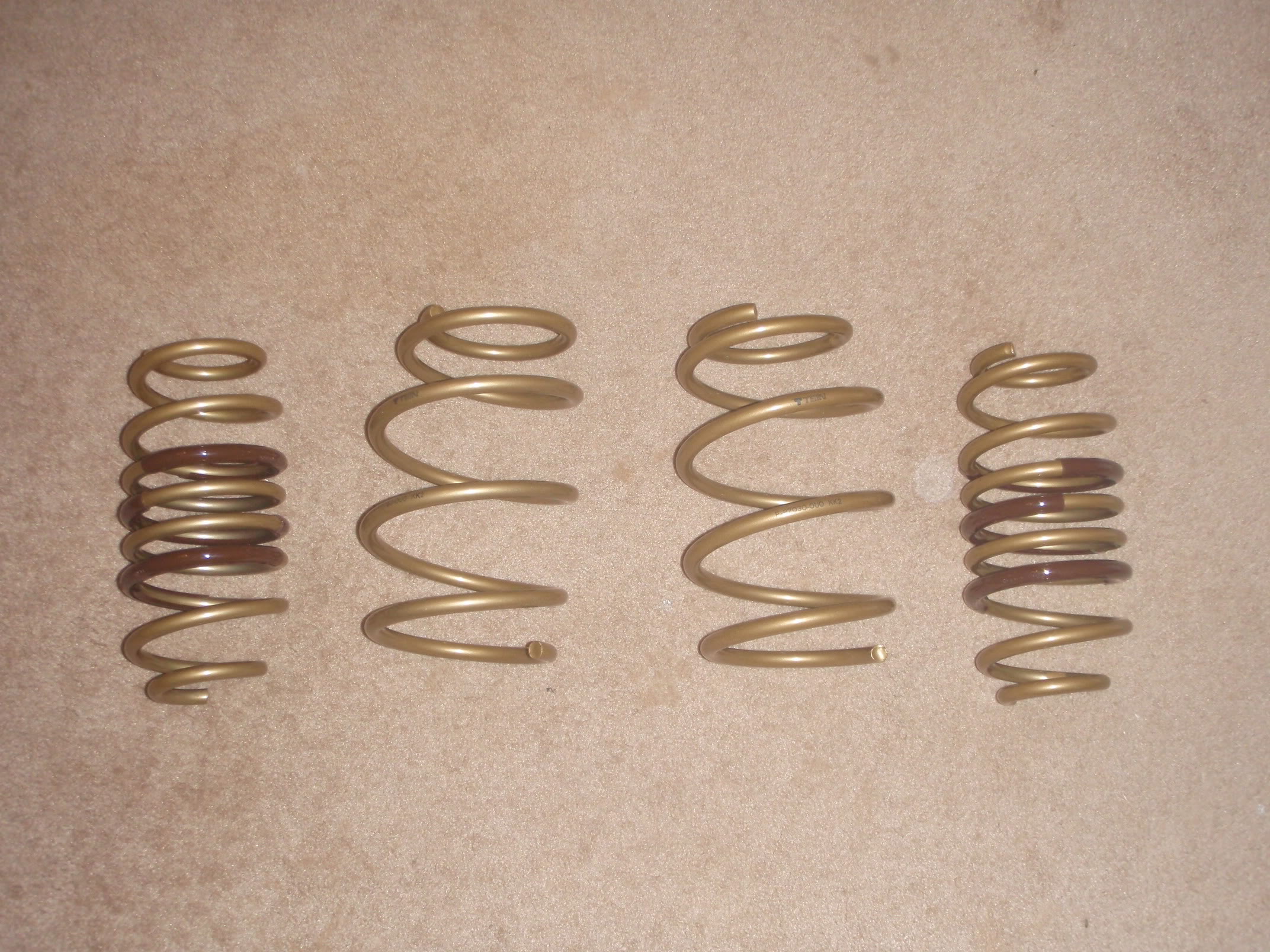 Name:  ImportedPhotos00107.jpg
Views: 88
Size:  600.1 KB