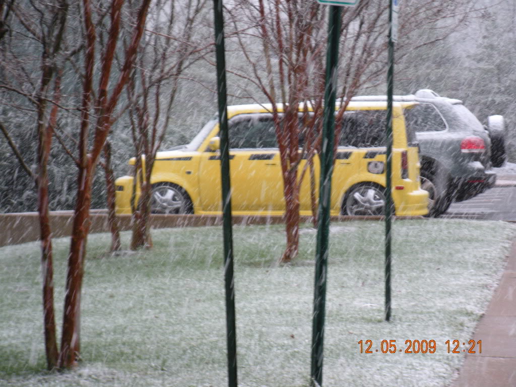 Name:  dec2009001.jpg
Views: 49
Size:  202.3 KB