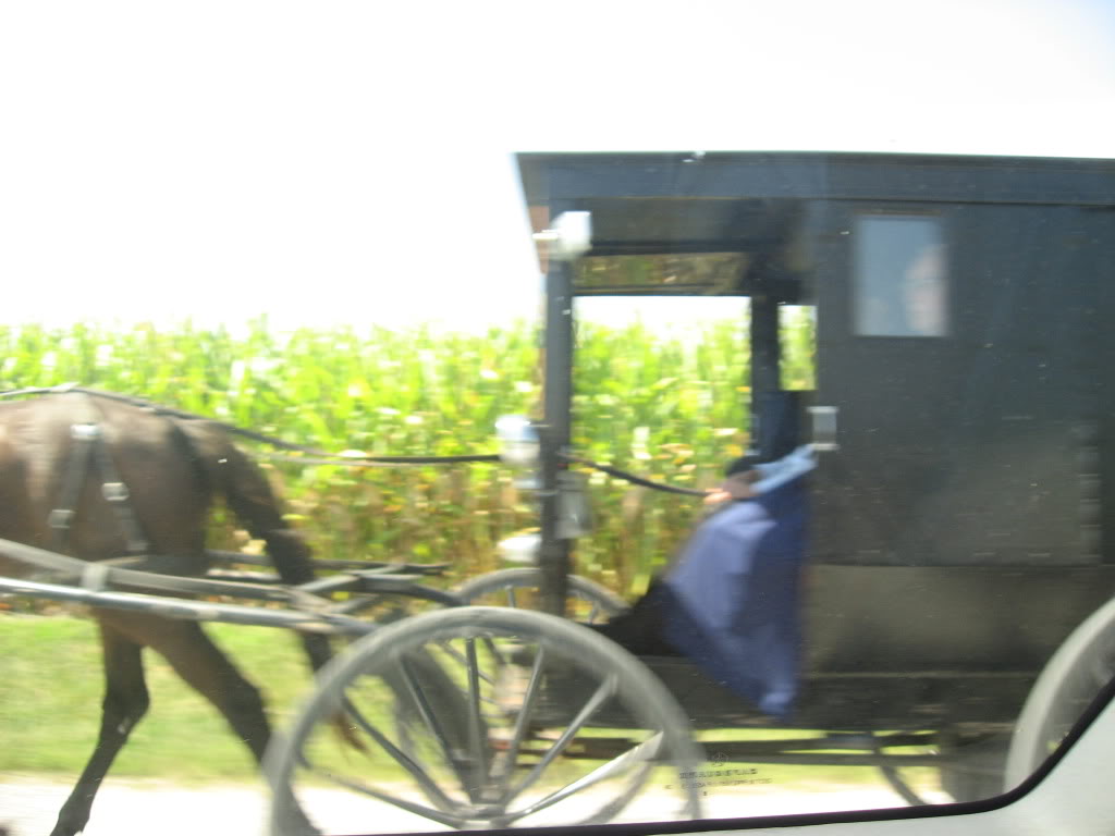 Name: roadtrip264.jpg
Views: 41
Size: 73.0 KB