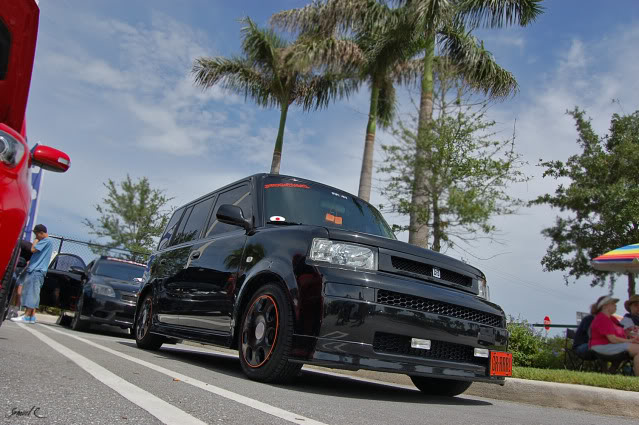 Name:  Royal_Palm_Show_857.jpg
Views: 48
Size:  78.7 KB
