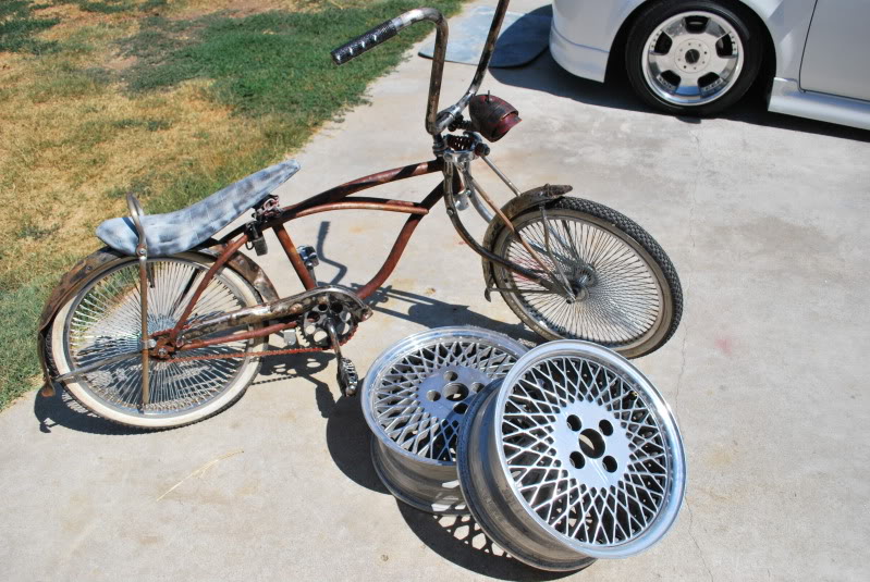 Name:  DSC_0813_2335.jpg
Views: 534
Size:  122.5 KB