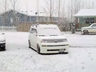 Name:  snowbox.jpg
Views: 22
Size:  14.0 KB