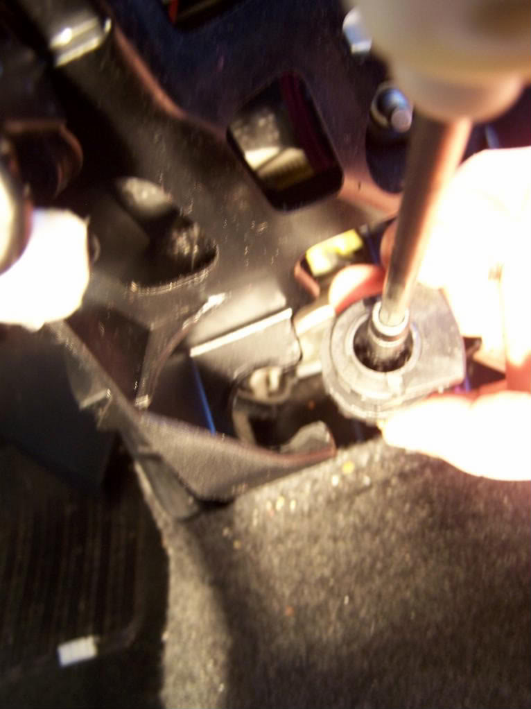 Name:  100_8267.jpg
Views: 1678
Size:  78.2 KB