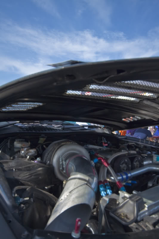 Name:  soarerhood.jpg
Views: 112
Size:  56.6 KB