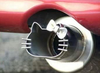 Name: KittyMuffler.jpg
Views: 286
Size: 12.8 KB