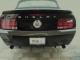 Beemer's Avatar
