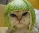 ChewyChop's Avatar