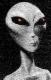 SciFion's Avatar