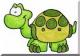 Turtlexb's Avatar