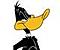 SIT's Avatar