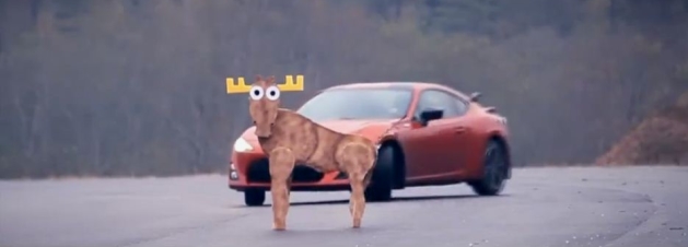 Scion: 1  Moose: 0