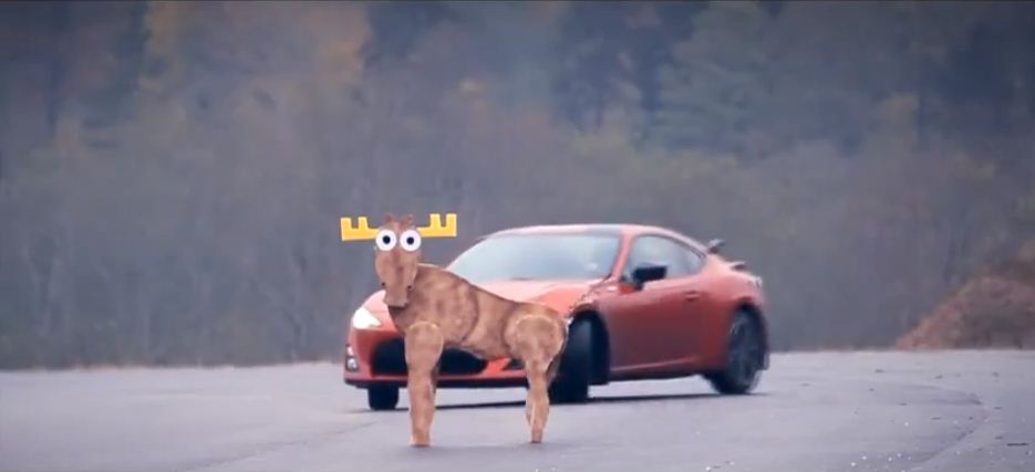 Scion: 1  Moose: 0