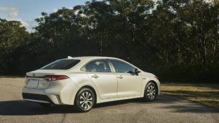2020 Corolla Hybrid Sedan News
